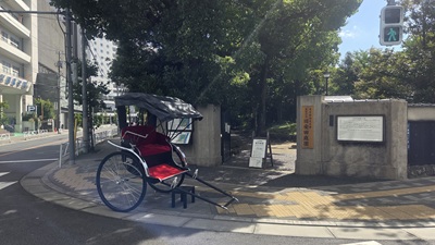 新着情報